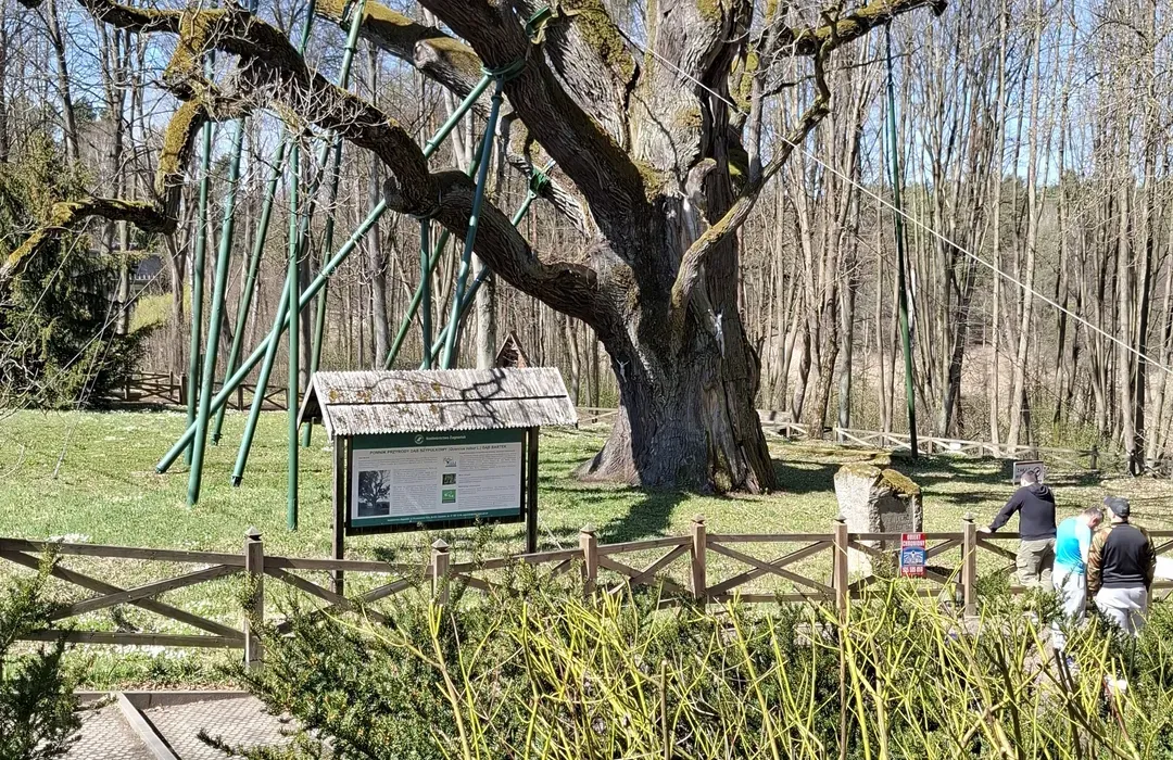 Zagnańsk atrakcje: Odkryj najciekawsze miejsca i niezapomniane wrażenia
