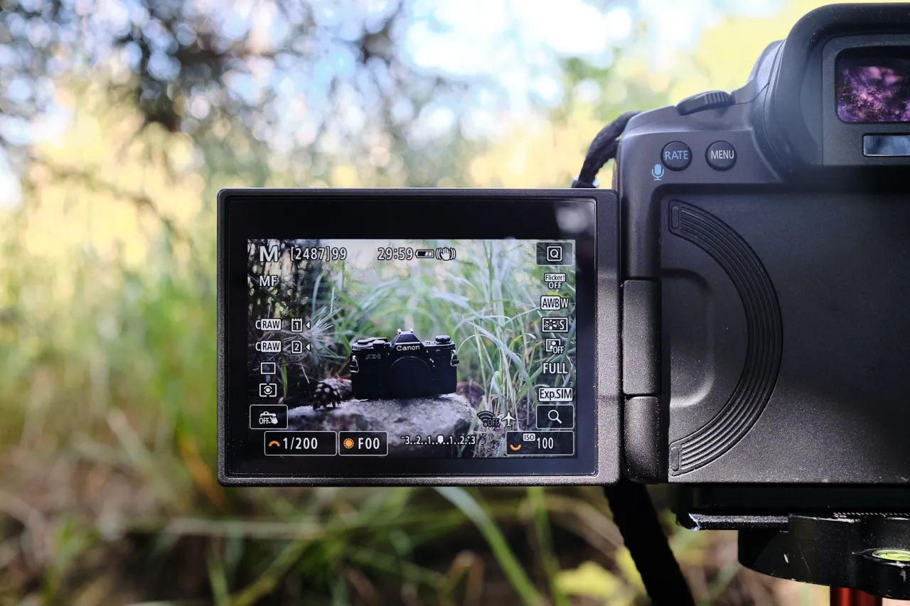 Jak ustawić ostrość w aparacie Canon - praktyczne wskazówki dla fotografów
