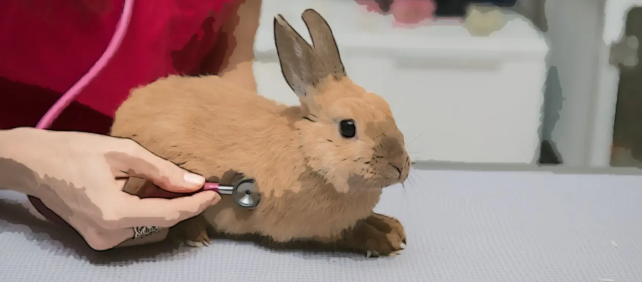 Czy z królikiem trzeba chodzić do weterynarza? Ważne informacje o zdrowiu