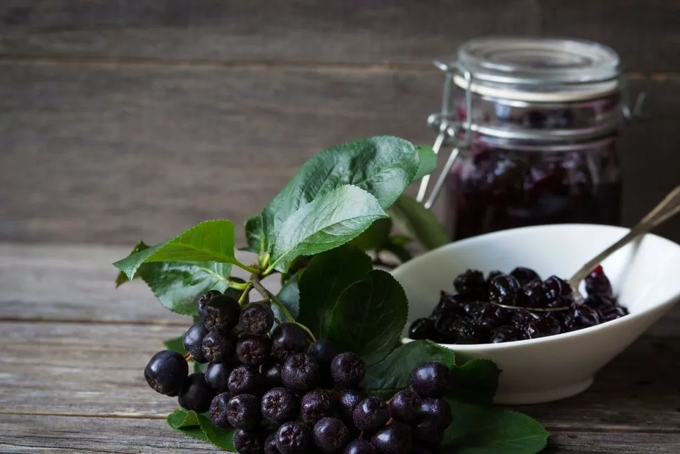 Co zrobić z aronią z nalewki? Przepisy na smaczne wykorzystanie owoców