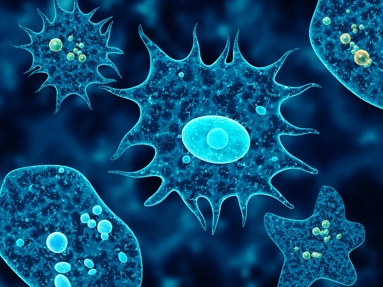 Endolimax nana: 5 objawów infekcji i metody skutecznego leczenia