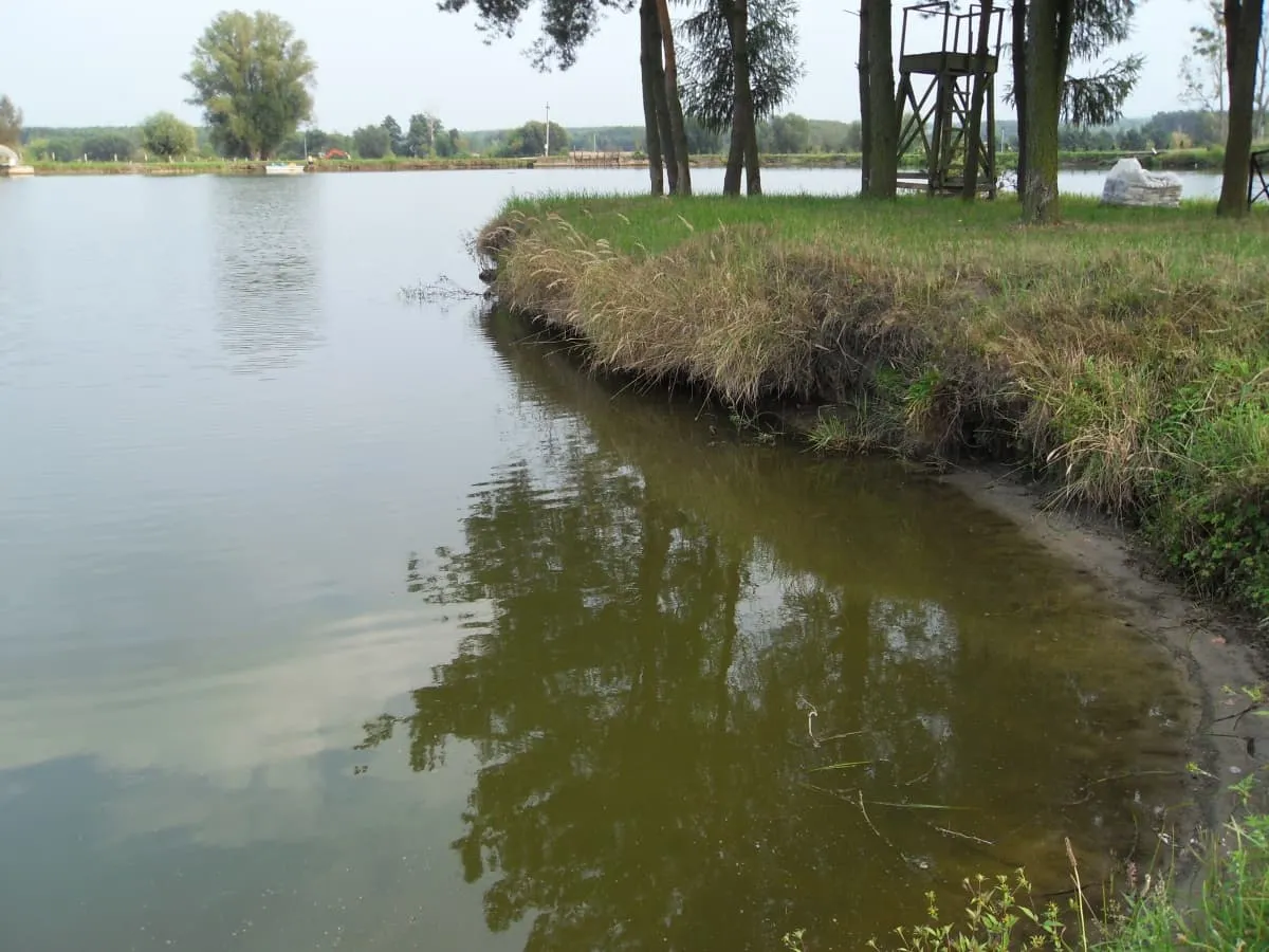 Łowisko 3 Stawy Goryń Radom - Idealne miejsce na wędkarską przygodę