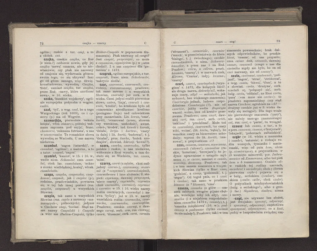 Słownik etymologiczny języka polskiego online - poznaj pochodzenie słów