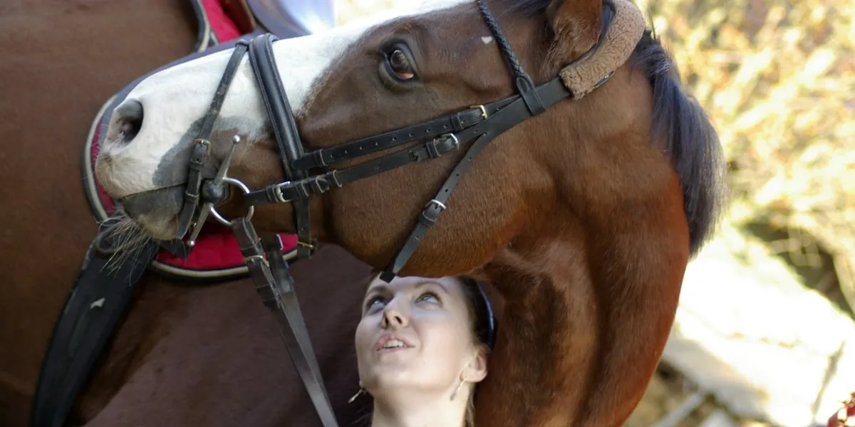 Czy można jeździć konno po mieście? Przepisy i bezpieczeństwo w Wrocławiu Czy można jeździć konno po mieście? Przepisy i bezpieczeństwo w Wrocławiu