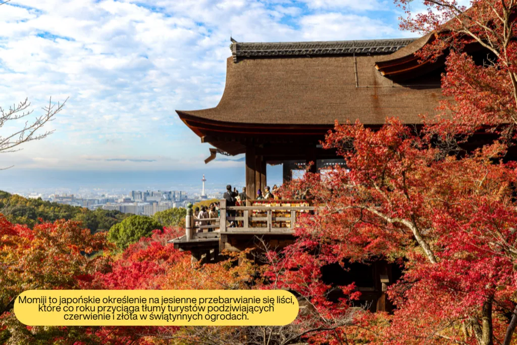 Kiedy najlepiej jechać do Japonii, aby uniknąć tłumów i cieszyć się pięknem krajobrazów