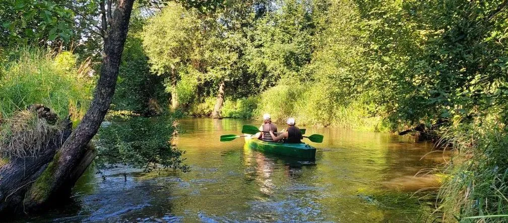 Najlepsze miejsca na kajaki w Śląsku - odkryj ukryte skarby