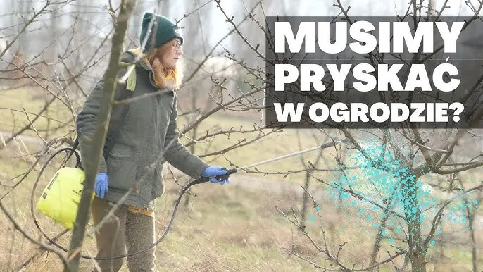 Jak opryskiwać wysokie drzewa skutecznie i bezpiecznie: praktyczny poradnik
