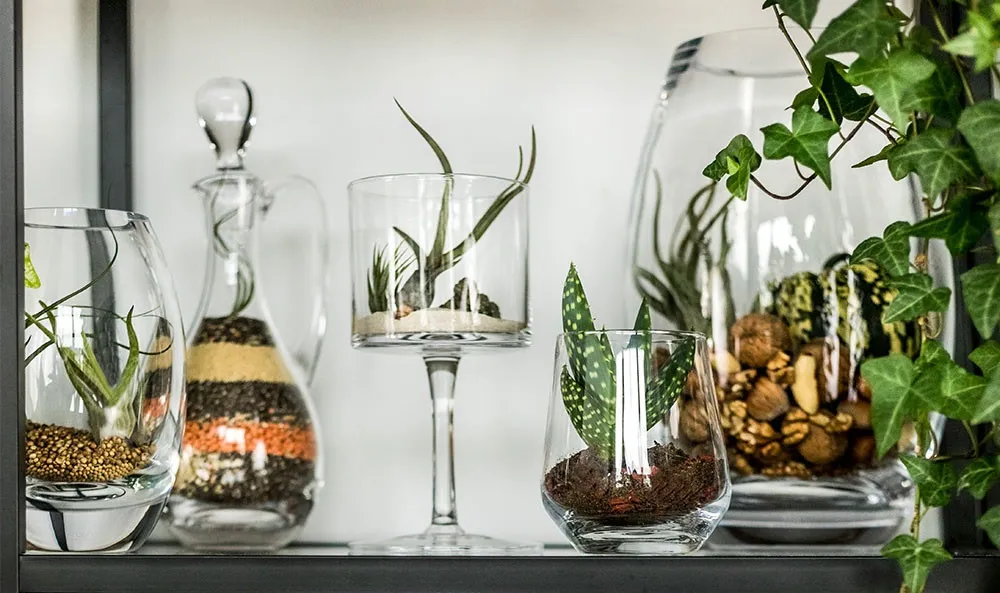 Jak ozdobić parapet w salonie - 10 inspirujących pomysłów na dekoracje