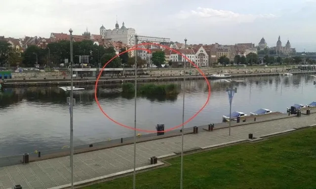 Szczecin: Odkryj Floating Garden! Atrakcje, smaki, co robić