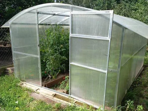 Szklarnia szklana czy poliwęglanowa? Wybierz idealną dla siebie!