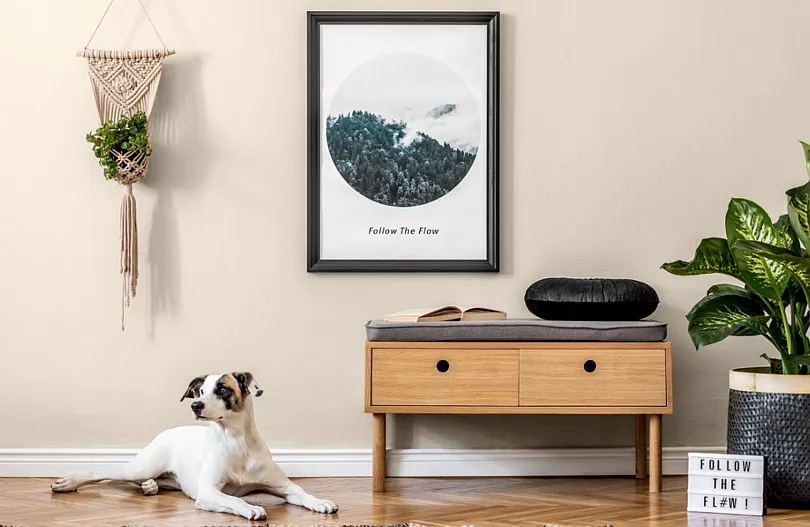 Jak dobrać kolor ścian do mebli, aby uniknąć nietrafionych wyborów