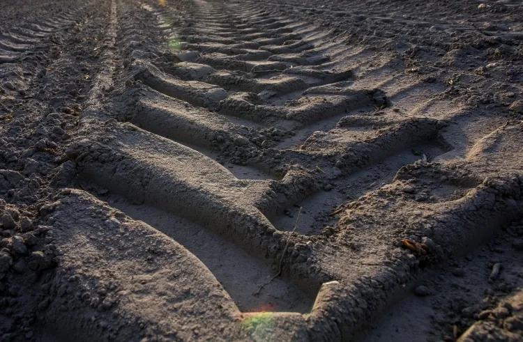 Ile trzeba mieć ziemi, żeby nie płacić podatku od nieruchomości? Oto szczegóły