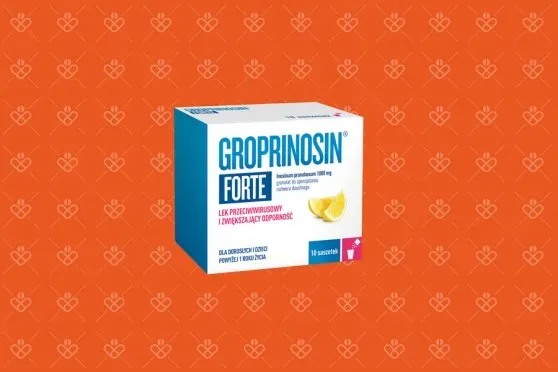 Groprinosin na co jest ten lek i jak może pomóc w infekcjach
