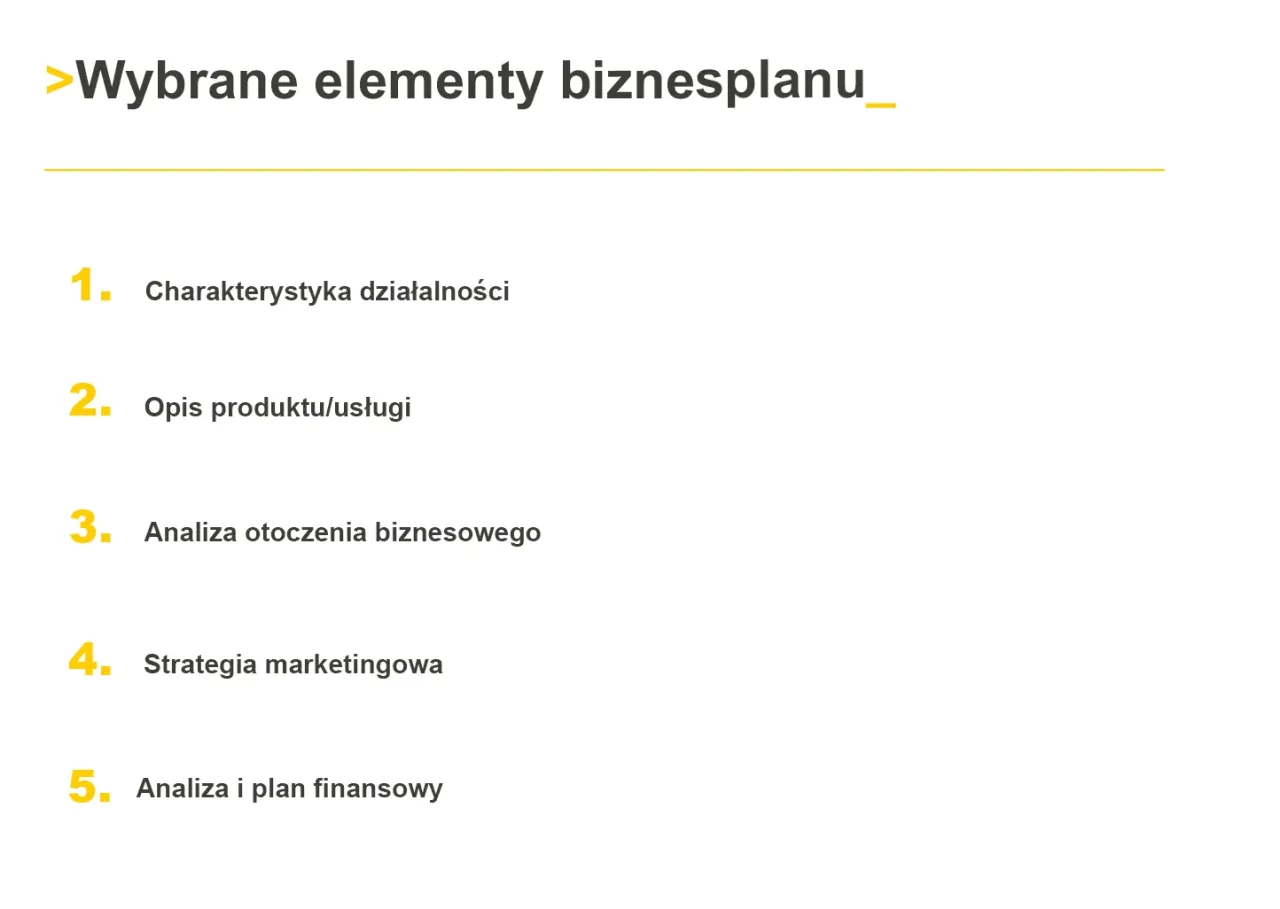 Co zawiera biznes plan? Kluczowe elementy, które musisz znać