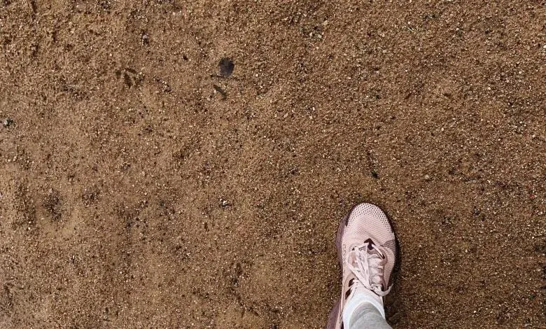  Ile waży metr sześcienny ziemi? Sprawdź, jaka jest masa 1m3 ziemi