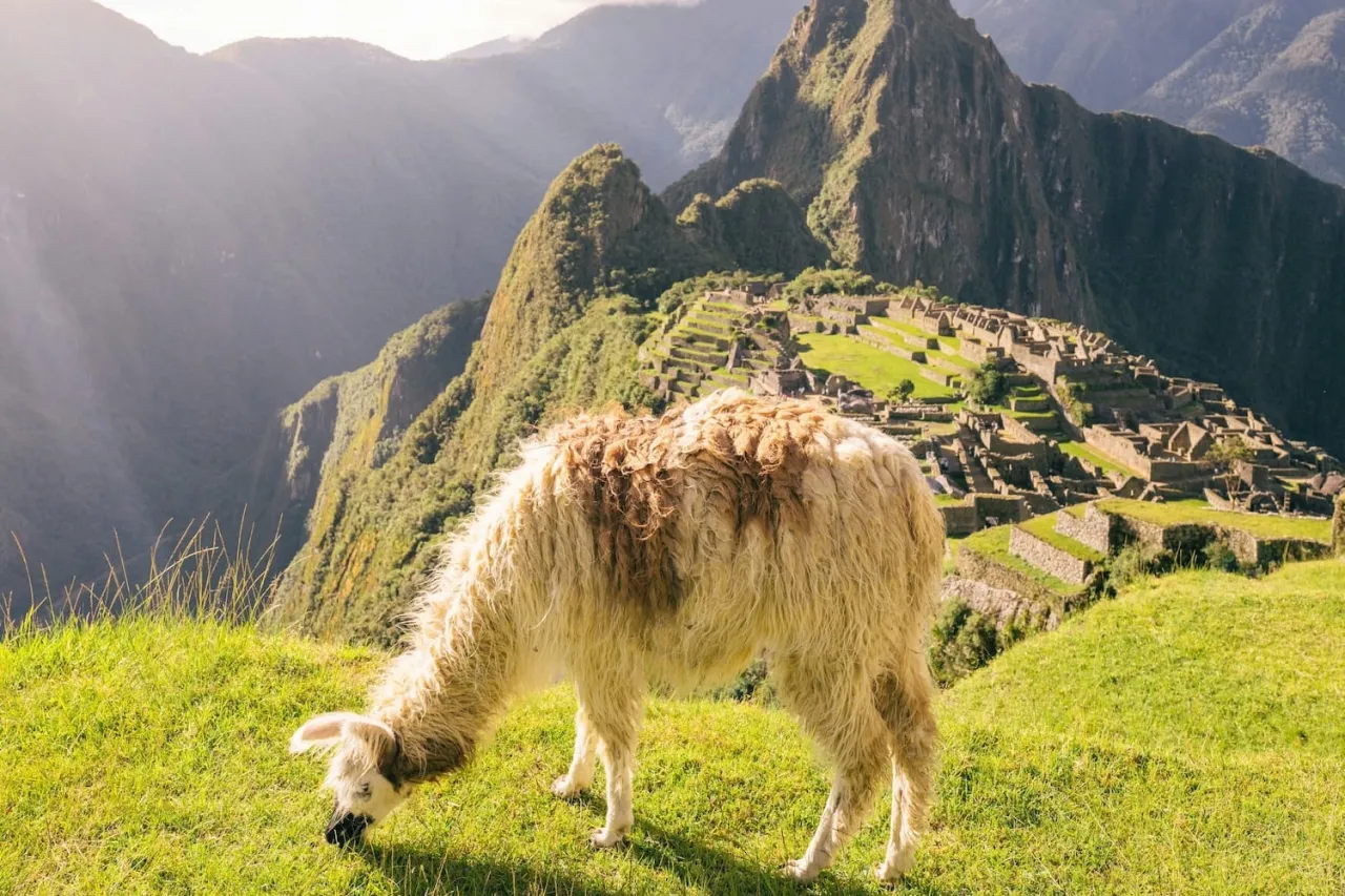 Co warto wiedzieć o bezpieczeństwie i poradach dla podróżnych w Peru
