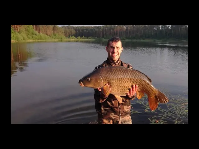 Łowisko Niesiołowice – idealne miejsce na wędkarską przygodę w naturze