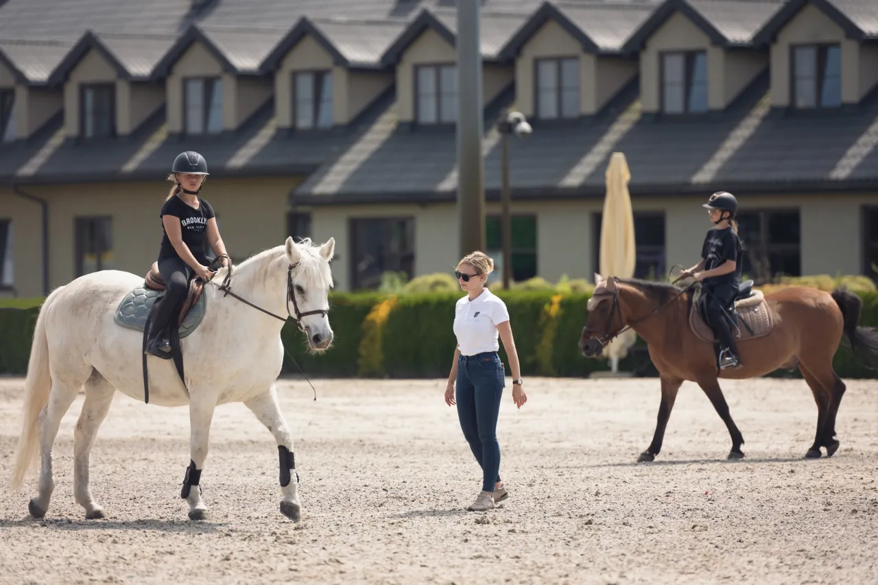 Katowicki klub jeździecki - idealne miejsce na naukę jazdy konnej