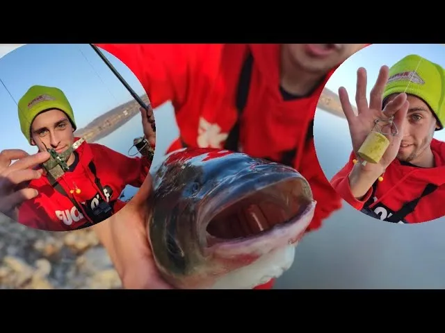 Jak złowić tołpygę na wędkę - sprawdzone metody i skuteczne przynęty