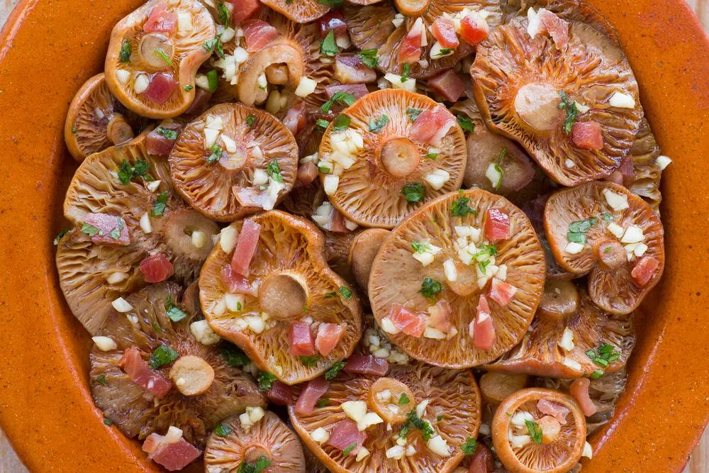 Jak przyrządzić rydze na obiad - proste przepisy, które zachwycą