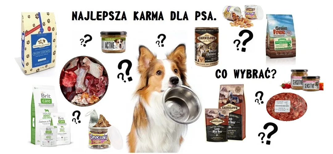 Najlepsza karma dla psa: jak wybrać idealne jedzenie dla pupila