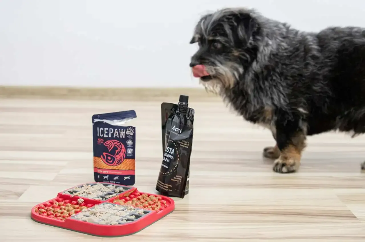 Czym smarować matę do lizania? Bezpieczne pomysły dla Twojego psa