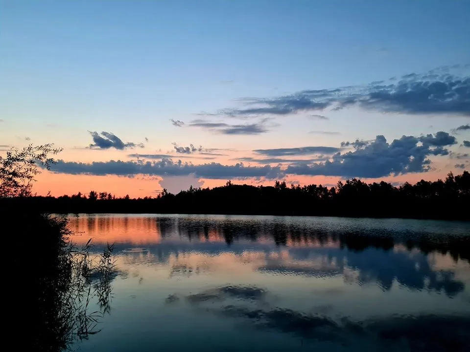 Dzika Woda sportowe łowisko karpiowe - idealne miejsce na wędkowanie