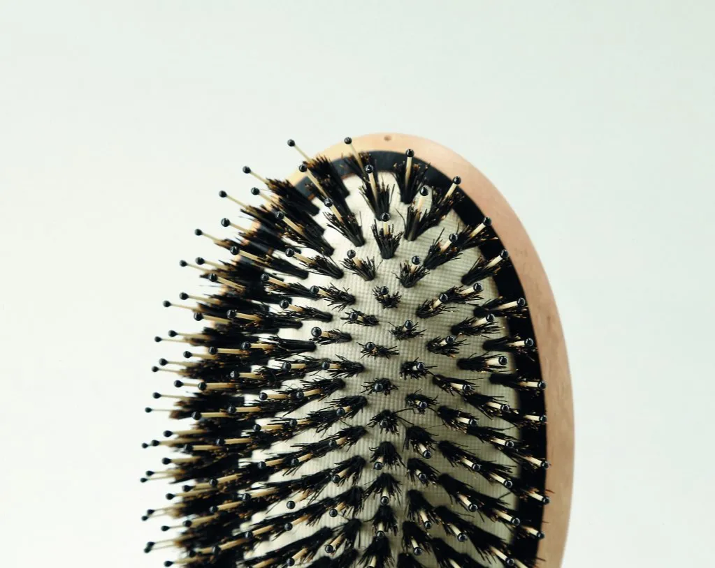 Jak czyścić szczotkę z włosia dzika, aby uniknąć jej zniszczenia