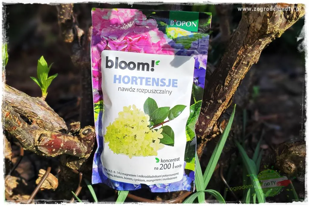 Kwitnienie bez tajemnic: Jak wybrać nawóz dla spektakularnych kwiatów?