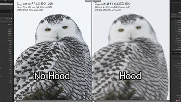 Co daje osłona przeciwsłoneczna na obiektyw? Ochrona i lepsze zdjęcia bez refleksów