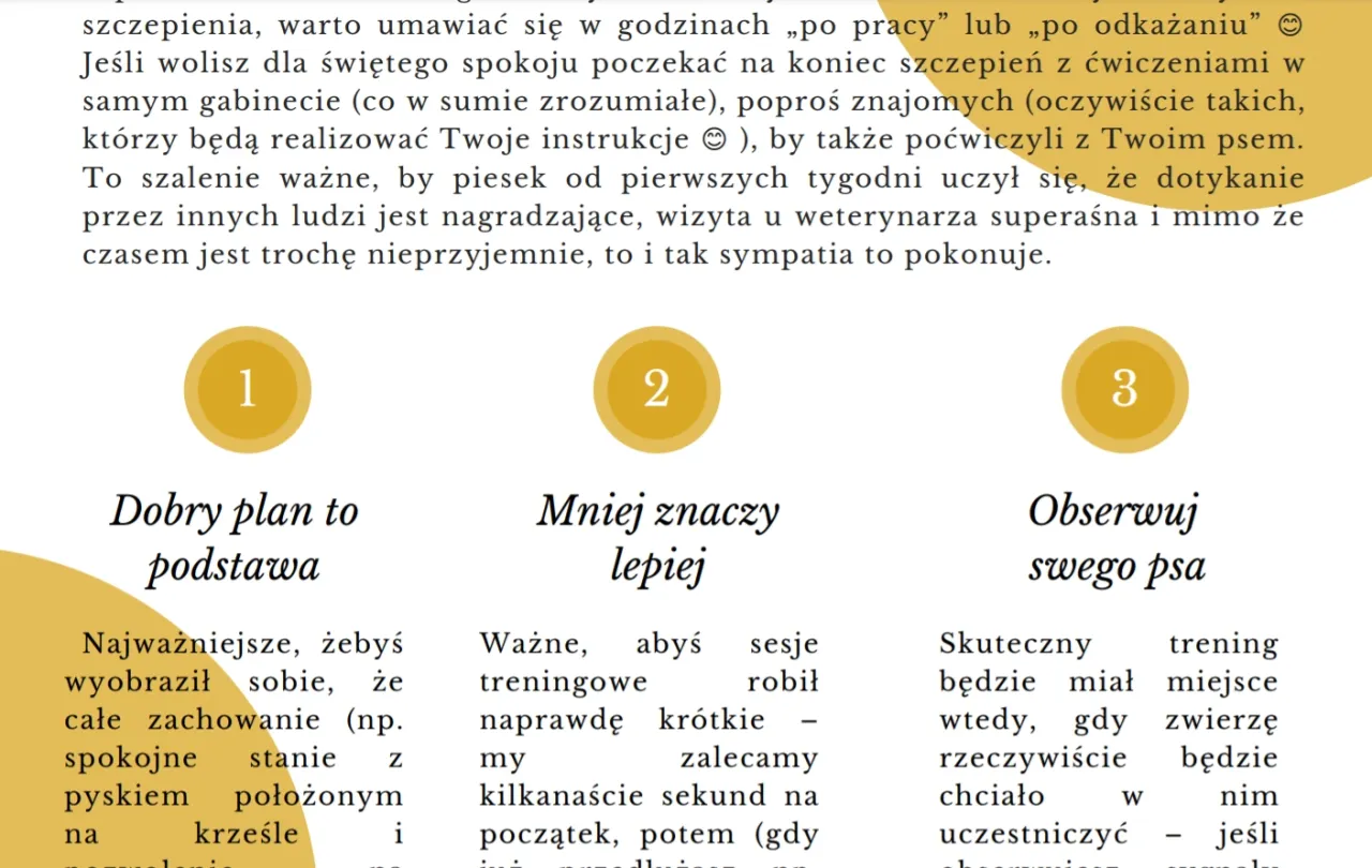 Jak wytresować szczeniaka? Poznaj złote zasady sukcesu!