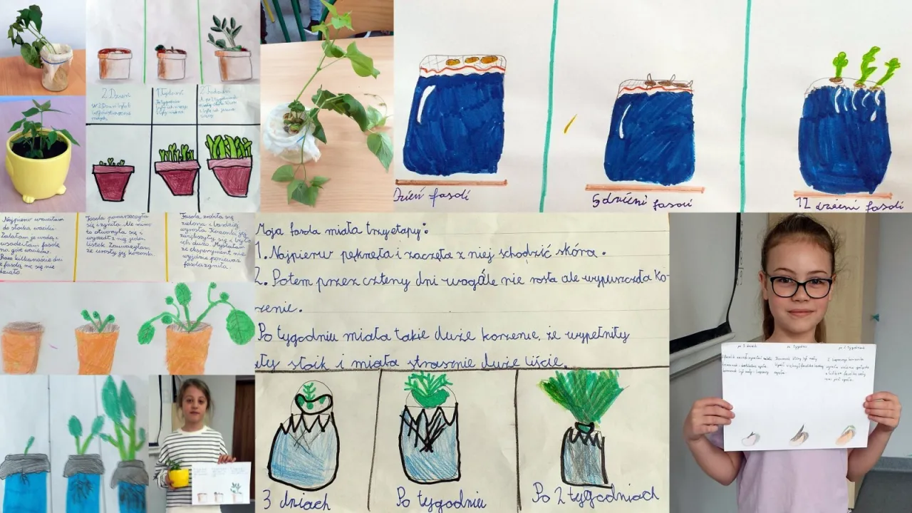 Jak zrobić eksperyment z fasolą: krok po kroku do sukcesu w nauce