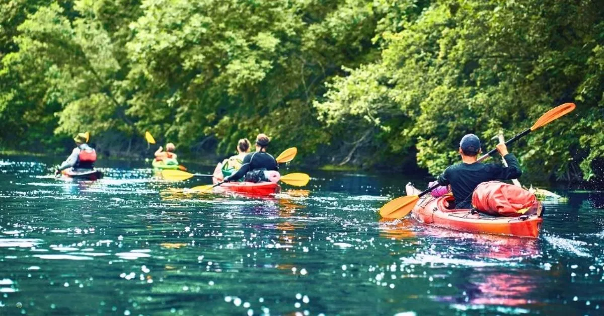 Spływ kajakowy Amazonka: malownicze trasy i praktyczne porady