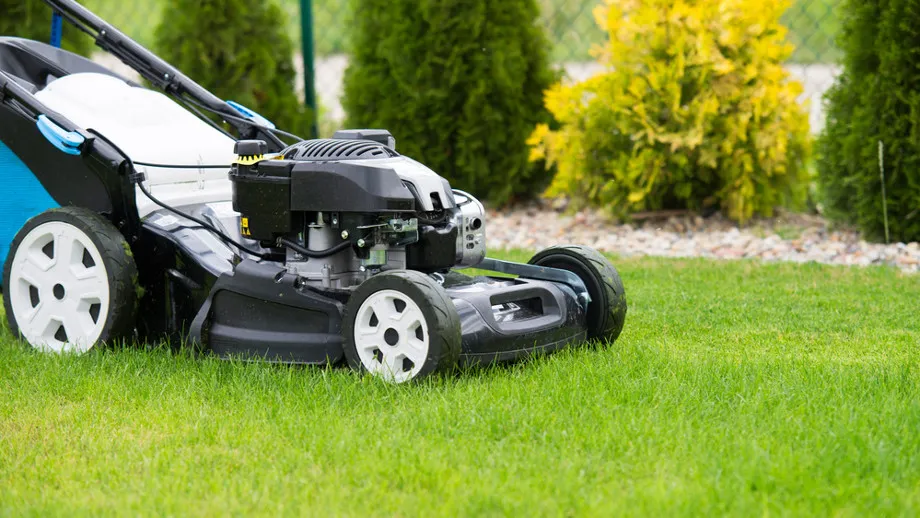 Moc kosiarki: Jak wybrać idealną do trawnika? Poradnik eksperta