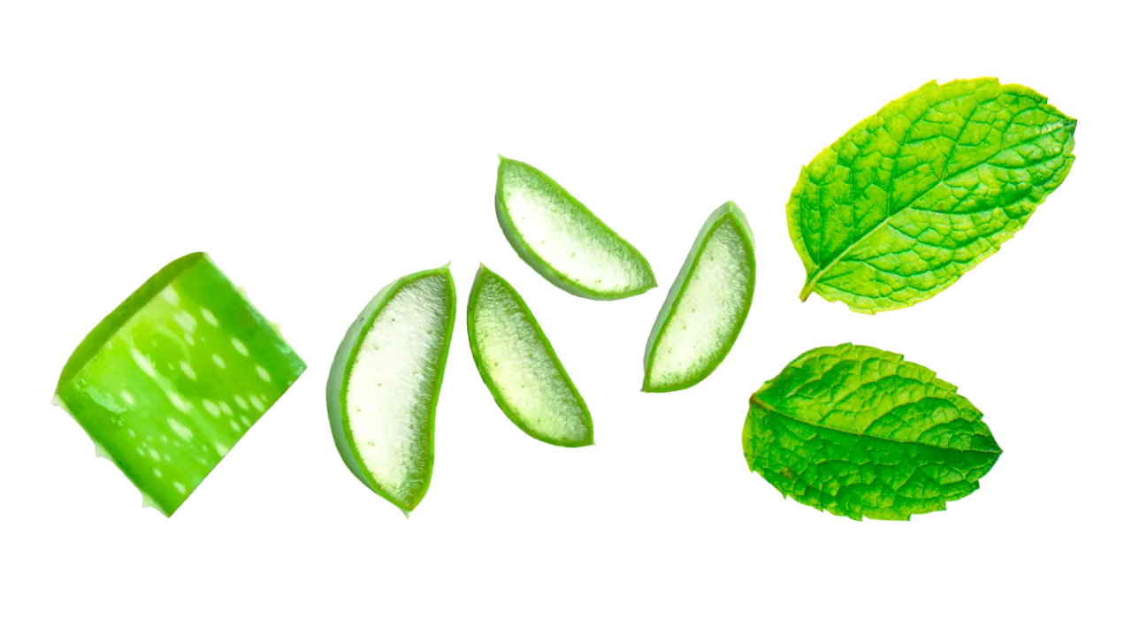 Skuteczne sposoby na ból dziąseł: domowe remedia i porady dentystyczne