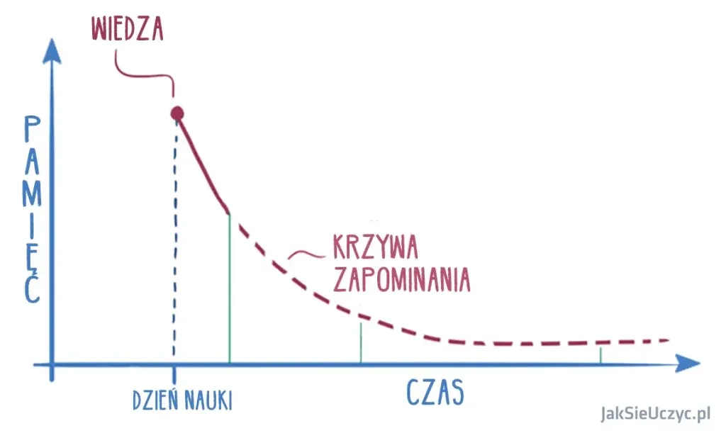 Jak uczy się mózg? Odkryj sekrety efektywnej nauki i pamięci