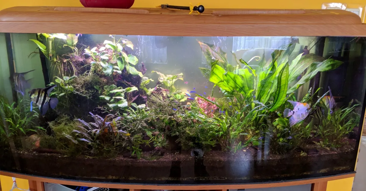 Jak zrobić oświetlenie LED do akwarium - proste kroki i porady