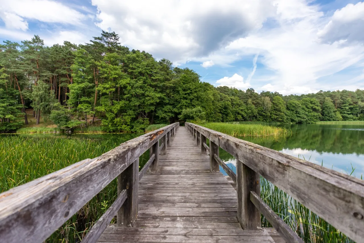 Najlepsze miejsca na spacer w Poznaniu - Gdzie warto spacerować?