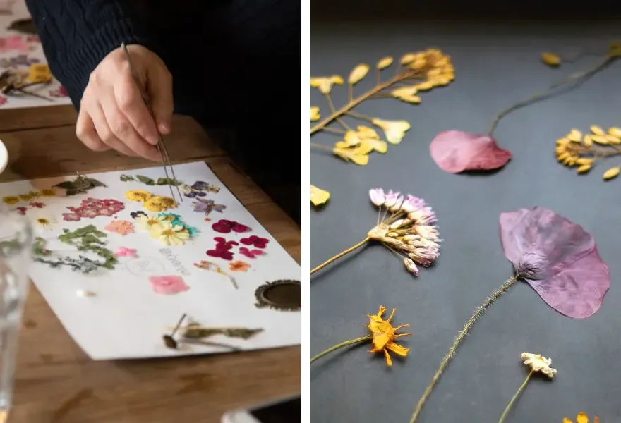 Jak suszyć kwiaty na płasko, by uniknąć zniszczenia kolorów