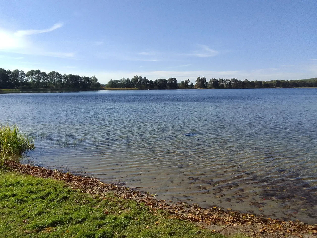 Jezioro Korytnickie - najlepsze miejsca na ryby i rekreację w okolicy