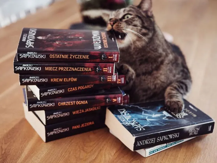 Wiedźmin: książki w jakiej kolejności czytać? Pełna saga