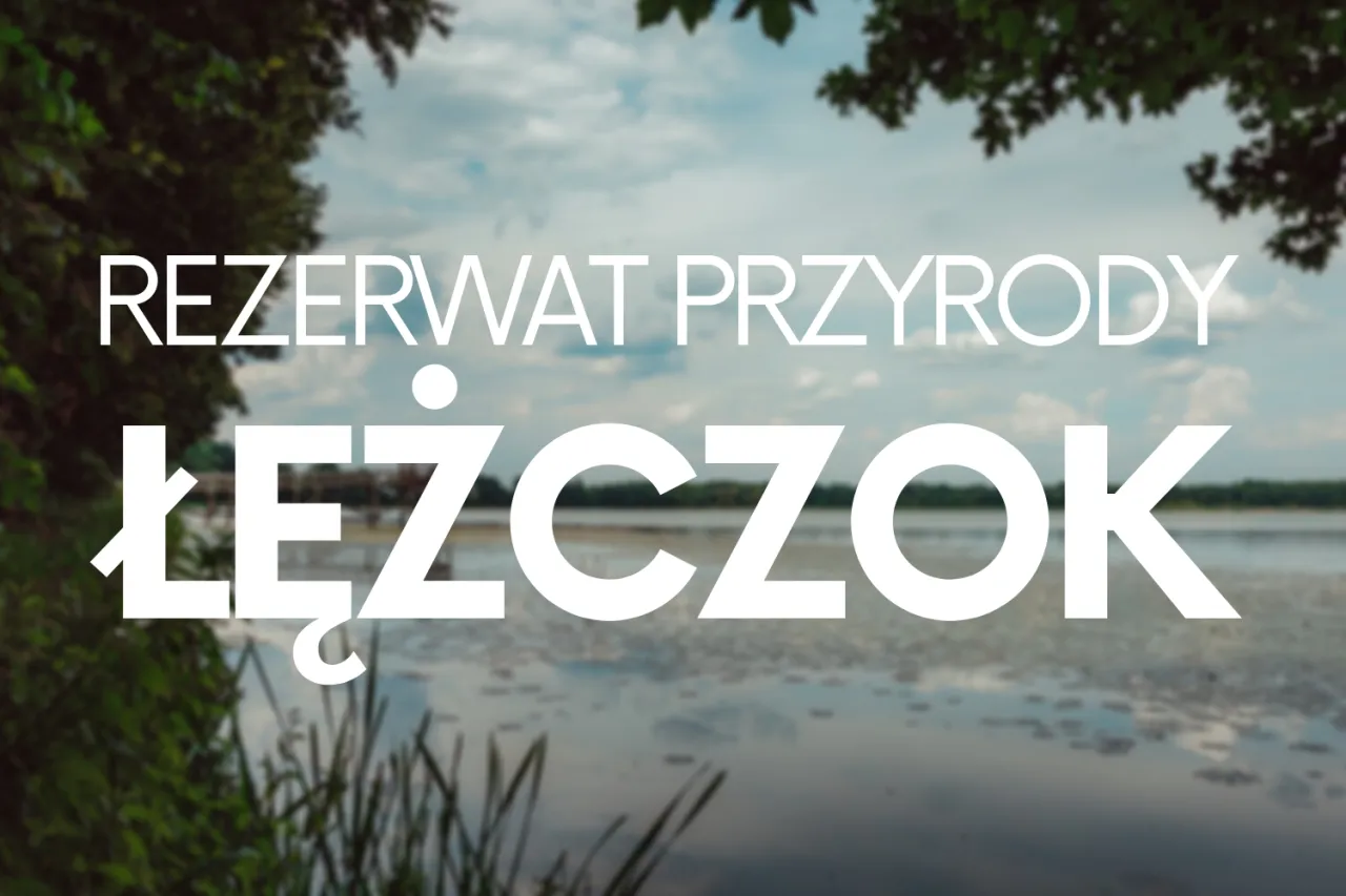 Rezerwat Łężczok: Przewodnik po perle Śląska i raju dla ptaków