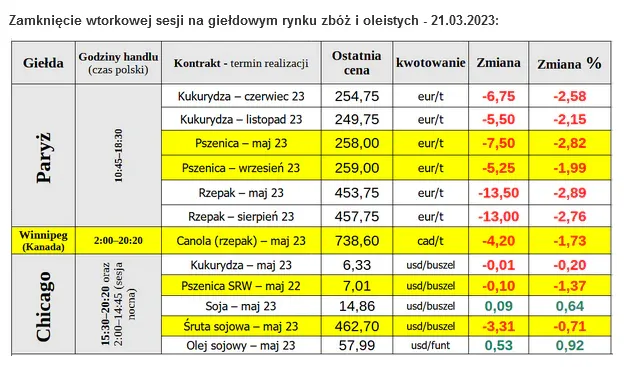 Po ile rzepak w skupie? Sprawdź aktualne ceny i prognozy rynku