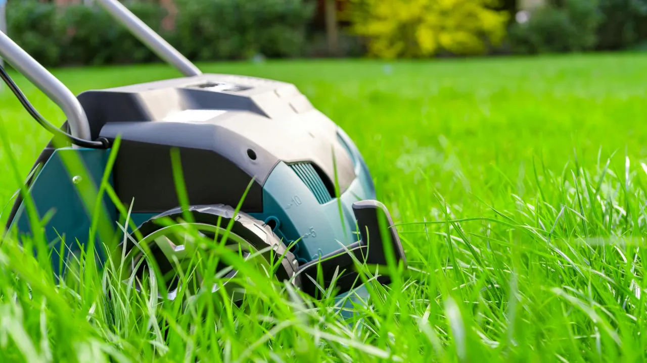 Domowy wertykulator z kosiarki: prosty sposób na piękny trawnik