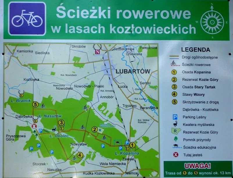 Lasy Kozłowieckie trasy rowerowe – najpiękniejsze szlaki i atrakcje