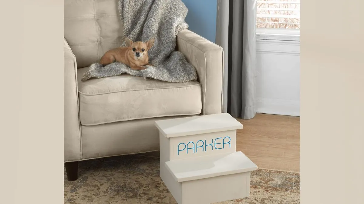 Zbuduj schodki dla psa: Komfort i zdrowie pupila w 7 krokach