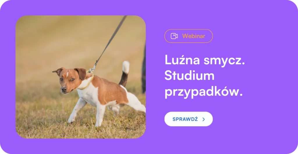 Jak wytresować psa żeby się słuchał – sprawdzone metody i porady