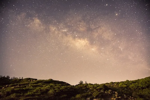 Czy Pandora jest modna? Sprawdź, dlaczego wciąż przyciąga uwagę