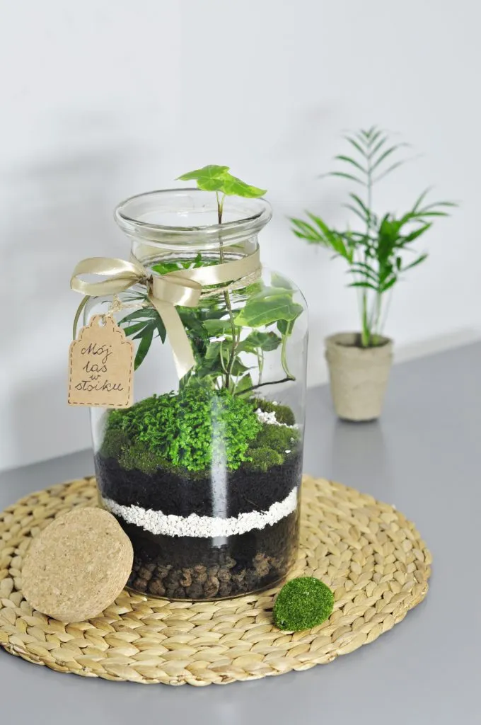 Jak stworzyć las w słoiku dla przedszkola - proste kroki i materiały