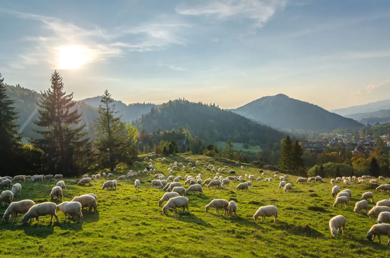 Pieniny gdzie nocleg - odkryj najlepsze miejsca na wypoczynek